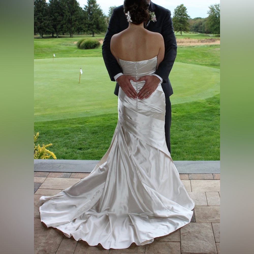 Pronovias Wedding Dress - Picture 5 of 8